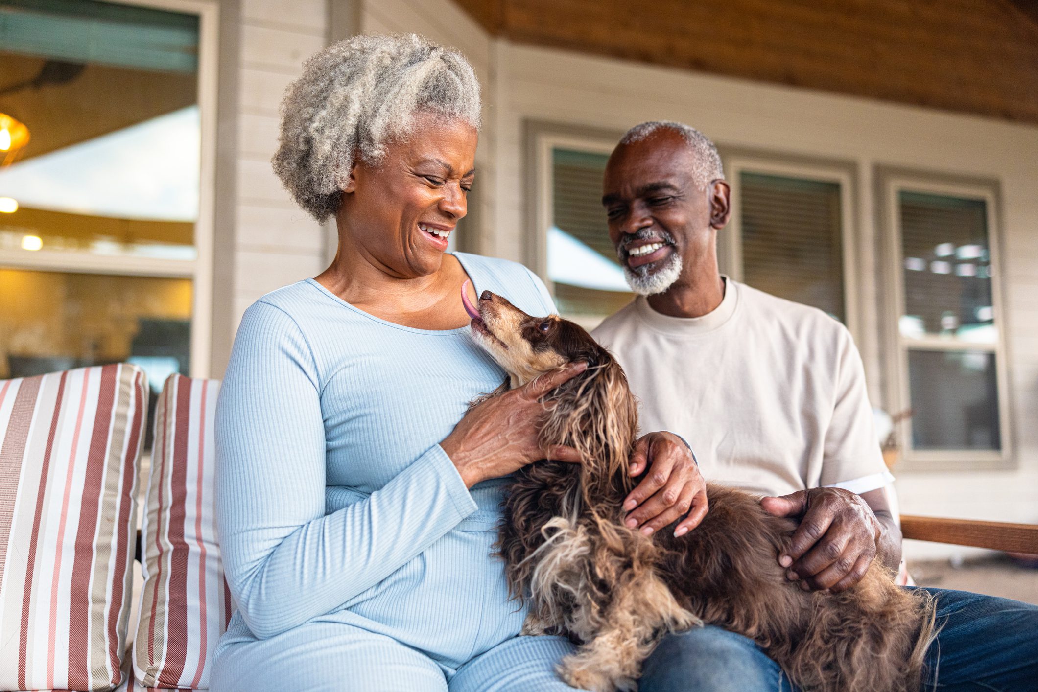 Senior black couple at home cuddling with their longhaired dachshund dog